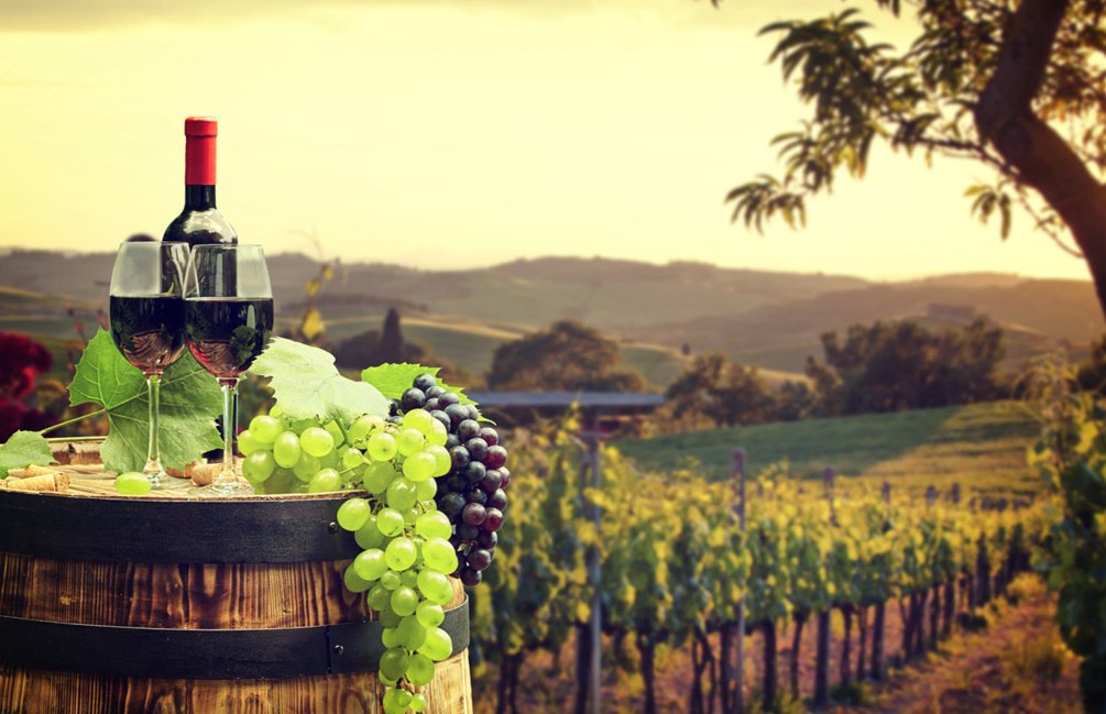 新西兰葡萄酒介绍 新世界产酒国的红酒之光