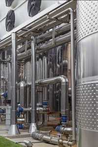 从葡萄到佳酿 探索红酒生产的艺术与科学